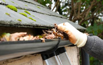 gutter cleaning Ringland